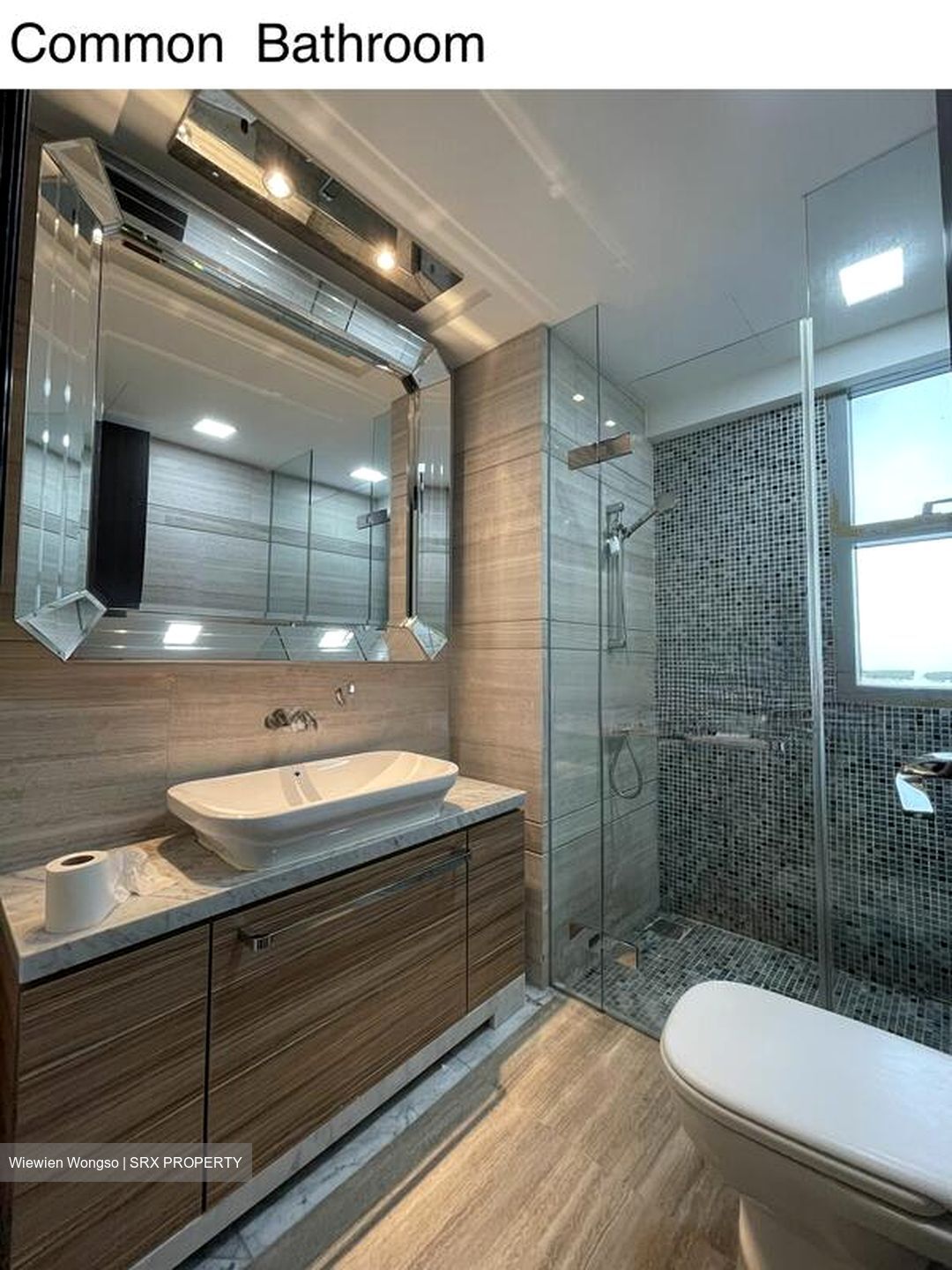 Thomson Grand (D20), Condominium #500991491